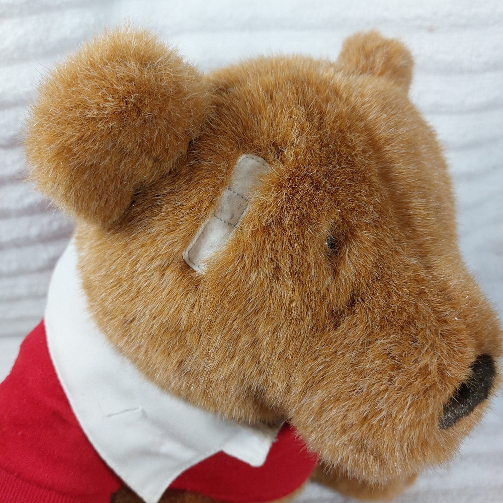 Vintage Lands End Rugby Gund Bear Plush 1995 Limited Edition Brownie Muldoon - Picture 6 of 8